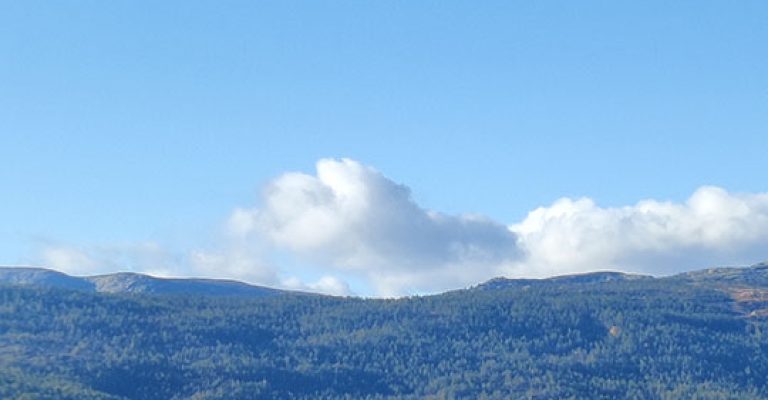 IMG_20221029_123855